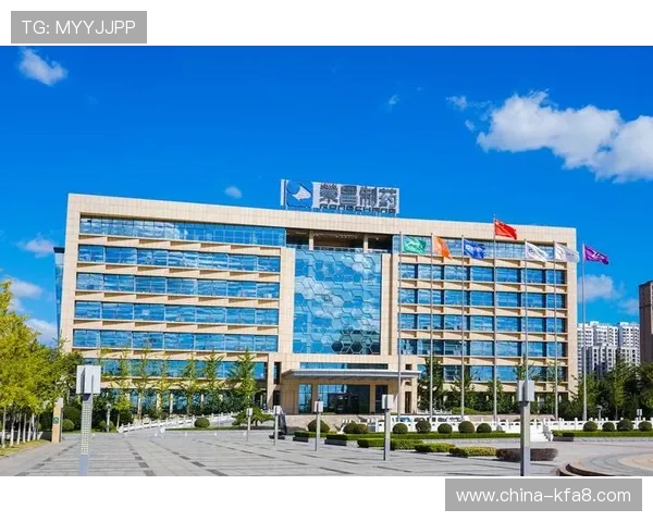 凯发k8娱乐官网入口客户服务支持，遇到问题及时获得专业帮助与解决方案